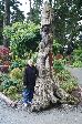 029_2008-0919-1533-22.jpg